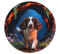 Puzzle Springer Spaniel Galés 1000 Piezas - para Adultos Y Niños Puzzles De Túnel Roca, Juego Educativo Y Divertido Arte Decorativo, 1000pcs (67.5x67.5cm)