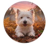 Puzzle West Highland White Terrier 1000 Piezas - para Adultos Y Niños Puzzle De Helechos, Juego EduGatoivo,Diversión En Familia Arte Decorativo, Regalo Ideal 1000pcs (67.5x67.5cm)