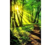 Puzzles 500 Piezas Adultos Selva Luz Solar, Juguete Desafío y Juego Educativo, Ejercita Paciencia y Destreza Rompecabezas 500 Piezas