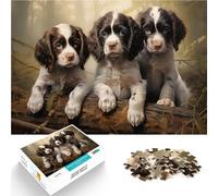 Puzzles de 1000 Piezas para Adolescentes Tres Cachorros de Springer Spaniel inglés Desafiante Difícil Regalo para cumpleaños 52x38cm
