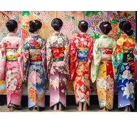 Puzzles For Adults, Jigsaw Puzzles For Adults 2000 Pieces Puzzle Home Challenging Educational Games DIY Home Decoration Puzzle Gifts - Japanese Kimono Woman