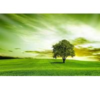 Puzzles for Adults,Jigsaw Puzzles for Adults 3000 Pieces Puzzle Home Challenging Educational Games DIY Home Decoration Puzzle Gifts,Tema:Árbol de Campo Verde
