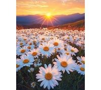 Puzzles for Adults,Jigsaw Puzzles for Adults 3000 Pieces Puzzle Home Challenging Educational Games DIY Home Decoration Puzzle Gifts,Tema:Paisaje de Margaritas al Amanecer