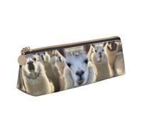 pvinnk Bonito estuche con estampado de llama, elegante y práctico, estuche triangular de gran capacidad con cremallera
