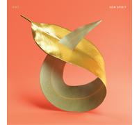 PVT New Spirit (Vinyl) 12" Album