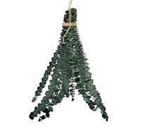 PW TOOLS Eucalipto Colgante para Ducha, Eucalipto para Ducha, Eucalipto Seco Natural 10 Piezas, Hojas Eucalipto para El Cuidado Personal Aromático y Vivo Natural para Colgar