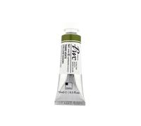 PWC Acuarela Extra Fina 15ml Terre Verte 561 B