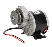 Pwshymi Polea de Correa 250W High Torques 24V Motorreductor Motor Motor de Metal Estable para Bicicleta eléctrica
