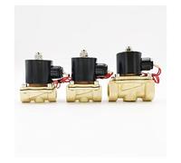 PXQCHAVLN Válvula Válvula Solenoide Eléctrica Normalmente Cerrada AC220V A Prueba de Agua G3/8" G1/2" G3/4" G1 G1-1/4 G1-1/2 G2 DC12V 24V(Ac220v,1.5 Inch)