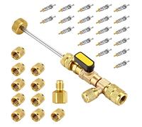 Pyatofly Kit de herramientas de instalación de extracción de núcleo de válvula, repuesto de núcleos de válvula con puerto de doble tamaño 1/4 y 5/16 para R22 R12 R407 R410 R404 R32 R600