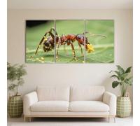 PYBILDCYJ 3 Cuadros en Lienzo Natural Moderno 50x75 cm Hormiga cubierta de polen en una hoja Decoración Pared para Salón y Dormitorio | Set 3 Piezas Impresión HD, Listo para Colgar