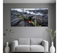 PYBILDCYJ Cuadros en Lienzo Moderno 40x60 cm Campo de lava volcánica conhelechos y lagarto Set 3 Decoración Pared para Salón y Dormitorio Impresión HD, Listo para Colgar, Regalo Decoracion Hogar