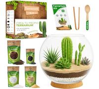 PYEF CRAFTS Kit Terrario Plantas Suculentas & Cactus DIY - Kit Terrario Cristal Ecosistema Desierto - Set Pecera para Plantas Suculentas & Cactus Naturales - Jardín Eterno Desértico (Sin Planta) (2L)