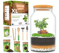 PYEF CRAFTS Kit Terrario Plantas XL - DIY Kit con Frasco Grande Terrario Cristal - Ecosistema Cerrado para Jardin Eterno - Terrarium Plantas Ecosistema - Sin Planta (Set con Frasco 4L)