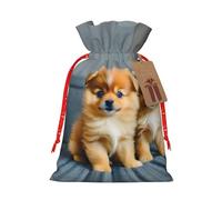 Pyjwyfmy Pomeranians Puppies And Point Print - Bolsas de regalo de Navidad, bolsa de regalo de Papá Noel, bolsas de regalo de lona de Navidad con cordones, bolsa de regalo