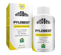 PYLOBEST 60 Caps. - Suplementos Alimentación y Suplementos Deportivos - Vitobest