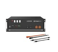 Pylontech 1 batería US5000 LiFePO4 de 4,8 kWh con juego de cables de conexión inversor