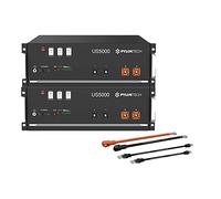 Pylontech 2X US5000 LiFePO4 Batería 9,6kWh con kit de cable de conexión del inversor, 015655-006