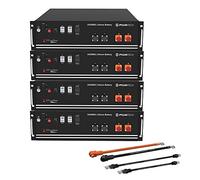 Pylontech 4 pilas US3000C LiFePO4 de 14 kWh con juego de cables de conexión inversor