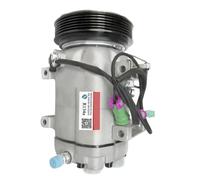 PYQMZTRV Compresor de Aire Acondicionado Compatible con Audi A6, A8, 100 Avant 5062310441, 5060310831, 4A0260805AC, 4A0260805C, 8D0260805A, 5062310441, 5060310831, 4A0260805D