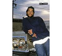 Pyramid Ice Cube: Impala (Maxi Poster) Merchandising Ufficiale, F4C2A5514D, multicolor