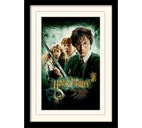 Pyramid International Cámara de Secretos Memorabilia, 30 x 40 cm