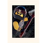 Pyramid International Cole de Lego Ninjago película (Cultivo) - de el Hobbit Memorabilia 30 x 40 cm, Papel, Multicolor, 30 x 40 x 1,3 cm