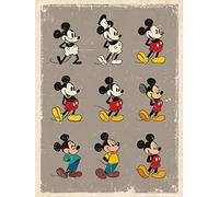 Pyramid International Cuadro en Lienzo Retro de Mickey Mouse Evolution, algodón, Multicolor, 30 x 40 x 1,3 cm
