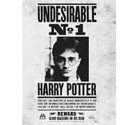 Pyramid International (de Harry Potter Undesirable No. 1 - Lienzo Decorativo (30 x 40 cm, Madera, Multicolor, 30 x 40 x 1,3 cm