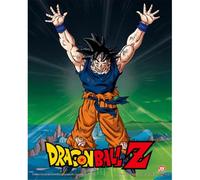 Pyramid International Dragon Ball Z 3D Lenticular Poster in Box Frame (Super Sai