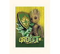 Pyramid International Guardianes de la Galaxia Vol. 2 (Groot Shield) - Montado impresión Memorabilia 30 x 40 cm, Papel, Multicolor, 40 x 50 x 1,3 cm