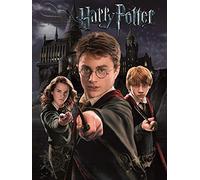 Pyramid International Harry Potter - Canvas Harry Ron Hermione, 30X49
