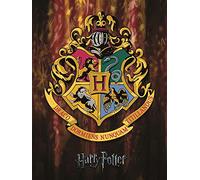 Pyramid International Harry Potter - Canvas Harry Undesirable N1, 30X40