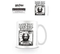 Pyramid International Harry Potter Ceramic Mug with Wanted Poster Graphic in Pre