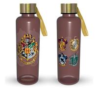 Pyramid International Harry Potter (Colorful Crest) - Botella de metal delgada para bebidas, solución de hidratación de alta calidad, 560 ml, talla única