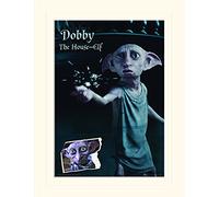 Pyramid International Harry Potter (Dobby) - de el Hobbit Memorabilia 30 x 40 cm, Papel, Multicolor, 30 x 40 x 1,3 cm