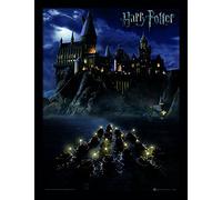 Pyramid International Harry Potter - Póster enmarcado (30 x 40 cm, 30 x 40 cm), multicolor