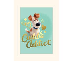 Pyramid International Impresión Impresa con Texto en inglés The Secret Life of Pets (Adicto a los acurrucados), Papel, Multicolor, 30 x 40 x 1.3 cm