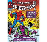 Pyramid International - Lienzo decorativo (60 x 80 cm), diseño de Spider-Man de Marvel Impresión sobre Lienzo Spider-Man End of The Green Goblin, Algodón, Multicolor