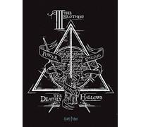 Pyramid International Lienzo Impreso con diseño de Harry Potter de Las Reliquias de la Muerte, 60 x 80 cm, Producto Oficial