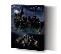 Pyramid International Lienzo Impreso Harry Potter Hogwarts School, Algodón, Multicolor, 40L x 30W cm
