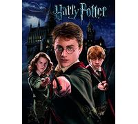 Pyramid International Lienzo, Lona, Harry, Ron y Hermione, 80L x 60W cm