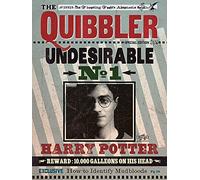 Pyramid International Lienzo Quibbler, Papel, Multicolor, 80L x 60W cm