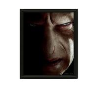 Pyramid International - Marco con Caras de Harry Potter y Voldemort - Efecto 3D - 25 x 20 cm - Licencia Oficial