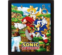 Pyramid International Sonic the Hedgehog - Póster en 3D (diseño de anillos de atrapamiento) Lenticular 3D Wall Art and Poster in Black Picture Frame 25 cm x 20 cm x 1,5 cm - Merchandise oficial