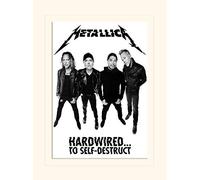 Pyramid International Metallica Banda (con cableado) - de el Hobbit Memorabilia 30 x 40 cm, Papel, Multicolor, 30 x 40 x 1,3 cm