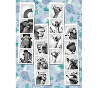 Pyramid International Photobooth-Lienzo Decorativo (60 x 80 cm), diseño de Cabina de Fotos, Multicolor, 31.5 x 24 Inches