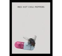 Pyramid International Póster artístico de pared de Red Hot Chili Peppers (I'm With You), 30 cm x 40 cm, con licencia oficial, decoración musical, talla única