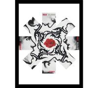 Pyramid International Póster artístico de pared de Red Hot Chili Peppers (rosa), 30 x 40 cm, con licencia oficial, decoración musical, talla única