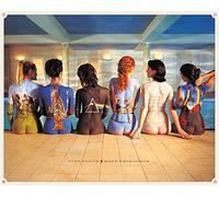 Pyramid International - Póster de Pink Floyd (Back Catalogue) Lienzo de - 85 x 120 cm, Madera, Multicolor, 85 x 120 x 1,3 cm